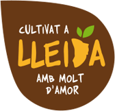 Productes ecològics de Lleida